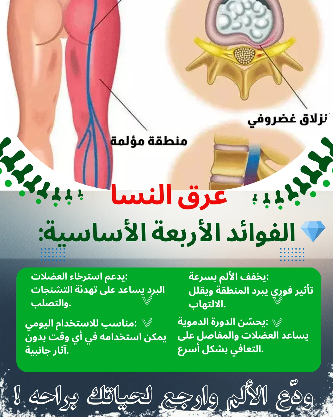 جل الفقرات القطنية المبرد