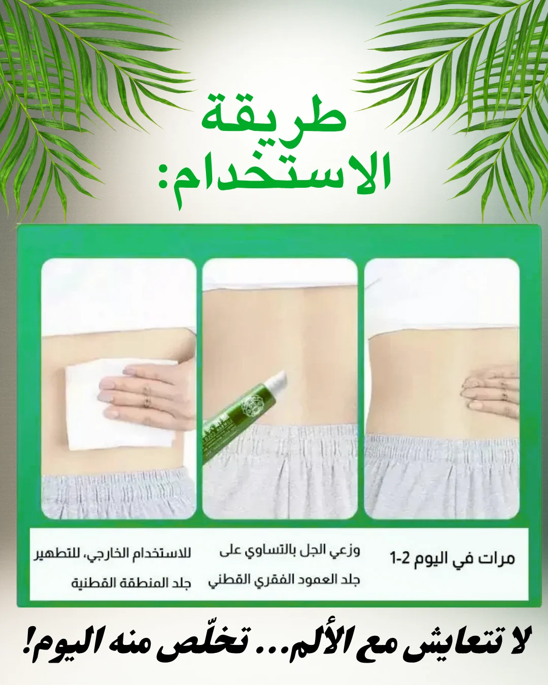 جل الفقرات القطنية المبرد